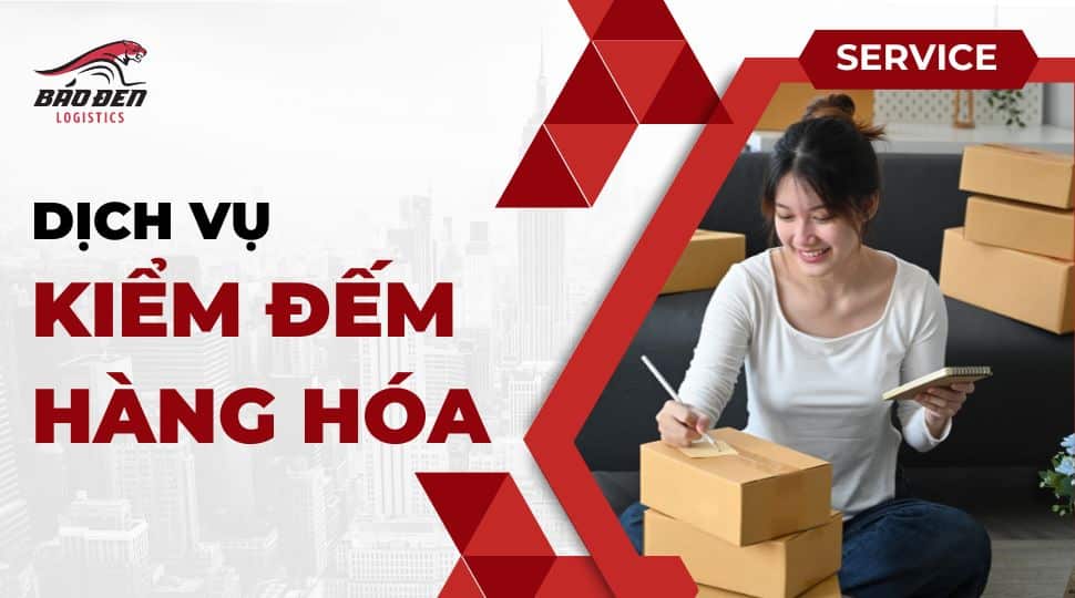 Dịch Vụ Kiểm Đếm Hàng Hóa 25 báo đen logistics