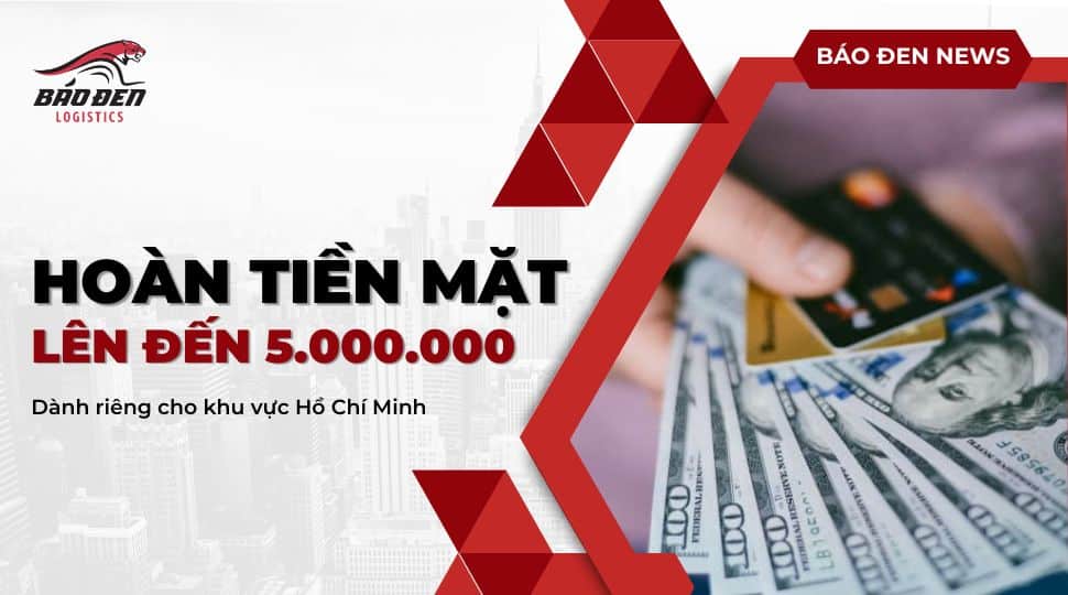 HOÀN NGAY 5 TRIỆU TIỀN MẶT NHÂN DỊP BÁO ĐEN "ĐỔ BỘ" HỒ CHÍ MINH 23 Báo Đen Logistics