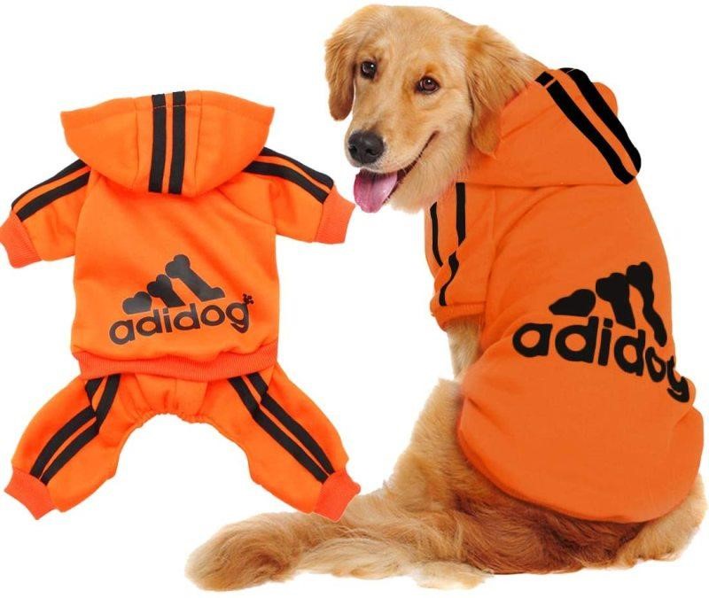 quần áo chó mèo