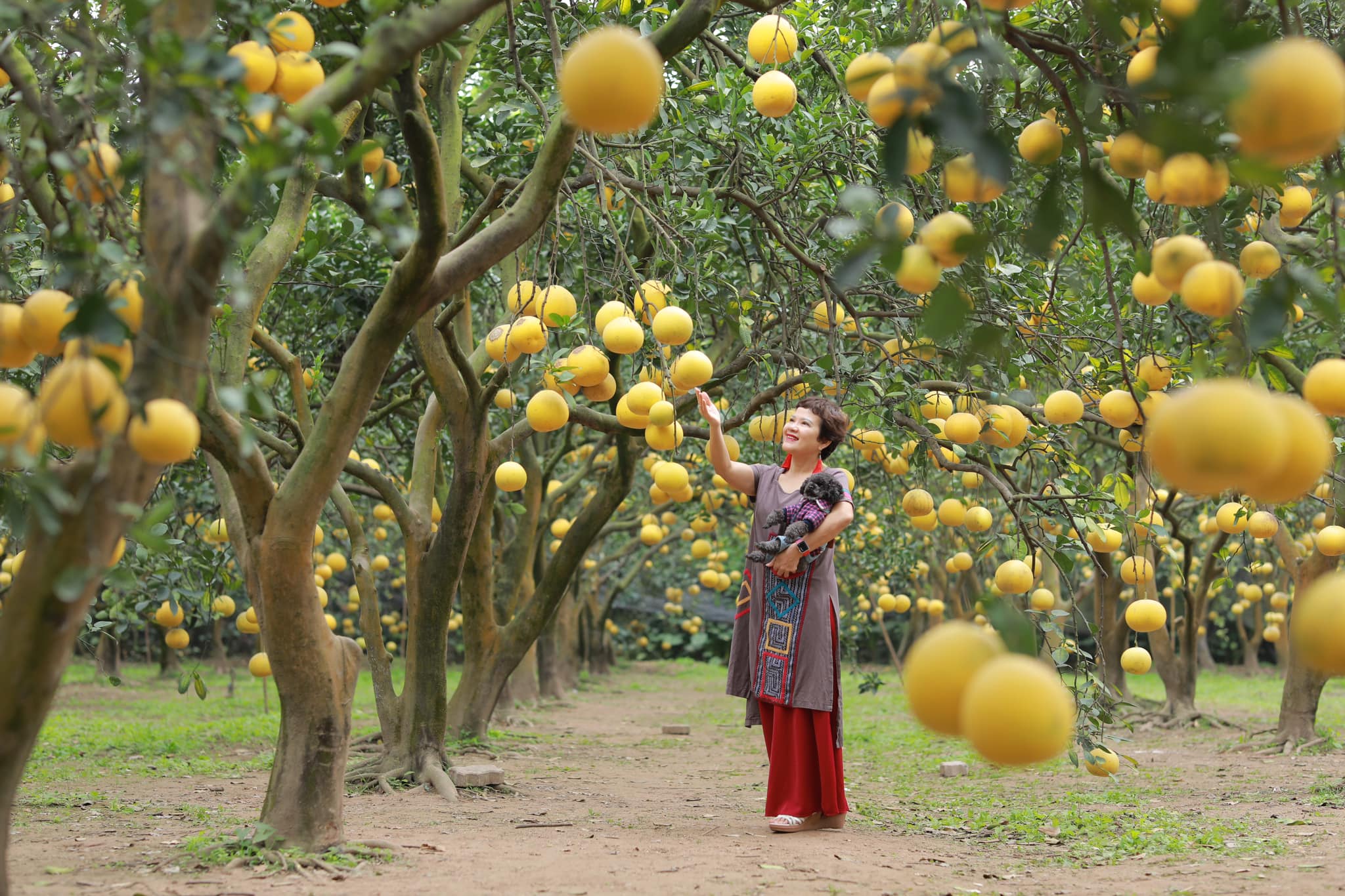 bán gì dịp tết