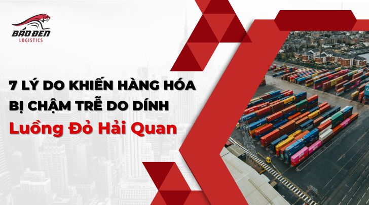 7 Lý Do Khiến Hàng Hóa Bị Chậm Trễ Do Dính Luồng Đỏ Hải Quan 14 News 5