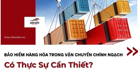 Bảo Hiểm Hàng Hóa Trong Vận Chuyển Chính Ngạch Có Thực Sự Cần Thiết?