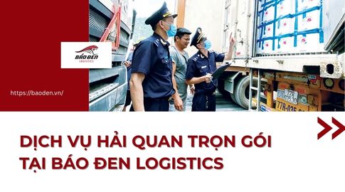 DỊCH VỤ HẢI QUAN TRỌN GÓI - BÁO ĐEN LOGISTICS 19 Thumnail website 1
