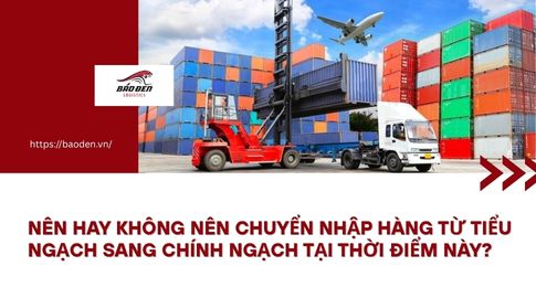 NÊN HAY KHÔNG NÊN CHUYỂN NHẬP HÀNG TỪ TIỂU NGẠCH SANG CHÍNH NGẠCH TẠI THỜI ĐIỂM NÀY? 8 NÊN HAY KHÔNG NÊN CHUYỂN NHẬP HÀNG TỪ TIỂU NGẠCH SANG CHÍNH NGẠCH TẠI THỜI ĐIỂM NÀY?