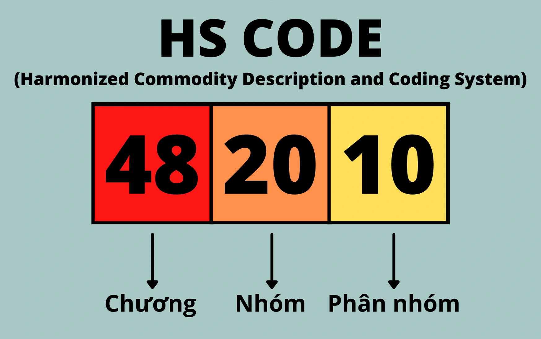 tra mã HS Code hải quan