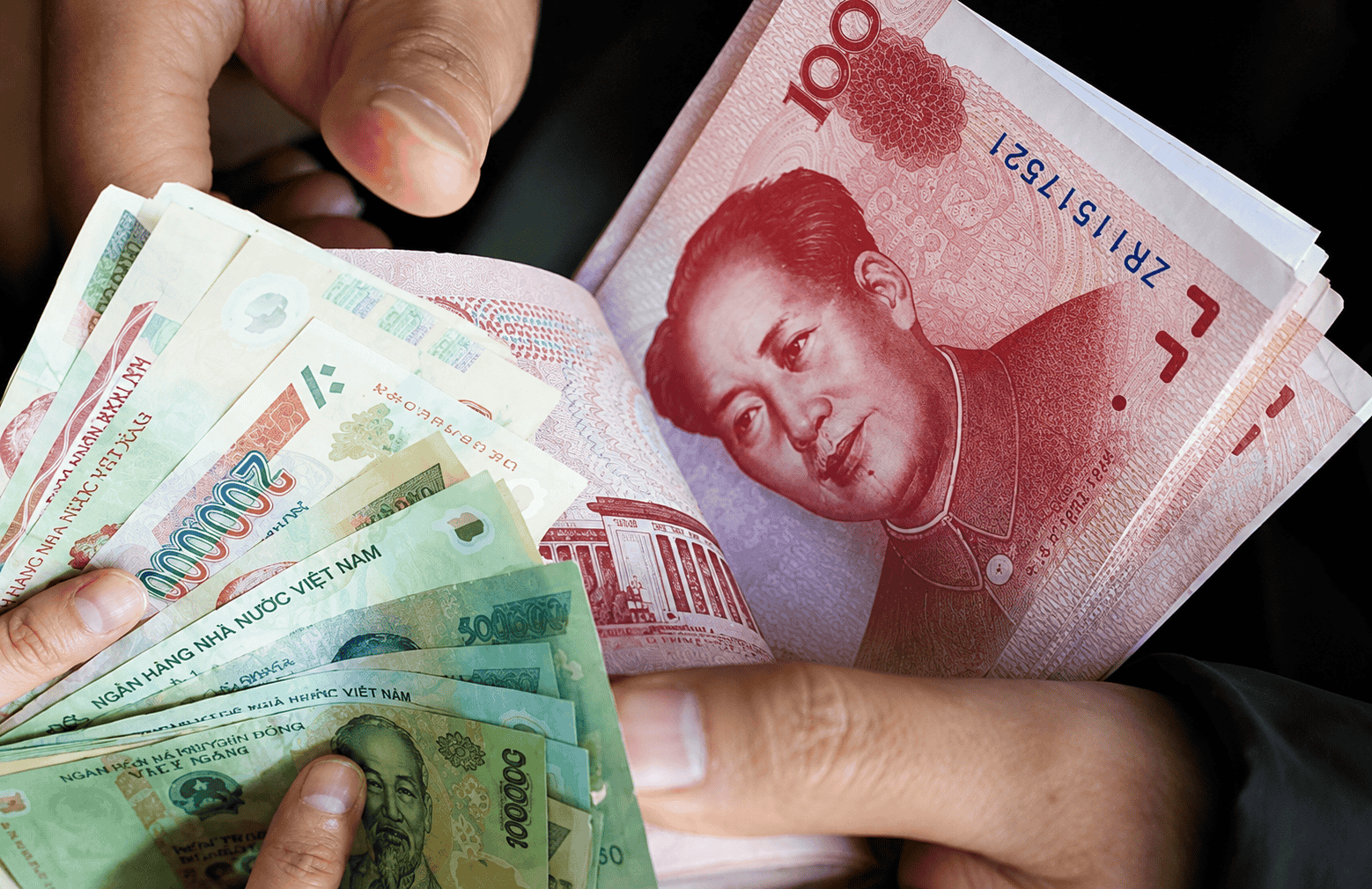 Nhập hàng sỉ Trung - Việt: Đâu là lợi thế của dịch vụ vận chuyển đường biển ghép hàng lẻ (LCL)? 3 image 1 1